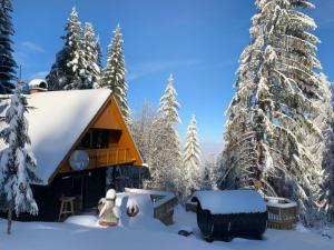 Fernblickhtte Rosenkogel in der Weststeiermark Berghuette Weststeiermark.jpg